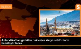 YTÜ, Antarktika’dan izole edilen yeni bakteri türleriyle enerji tasarrufu sağlayacak bir ürün geliştirmeyi hedefliyor