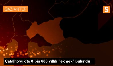 Çatalhöyük’teki kazıda 8 bin 600 yıllık ekmek bulundu