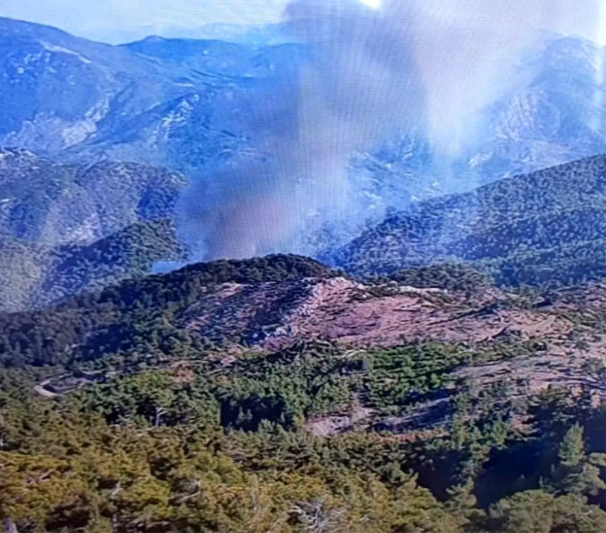 Köyceğiz’de Orman Yangınıyla Mücadele Devam Ediyor