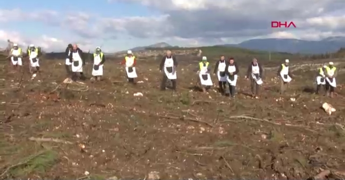 İzmir’de yanan ormanlar için seferberlik: Ay sonuna kadar 400 bin fidan