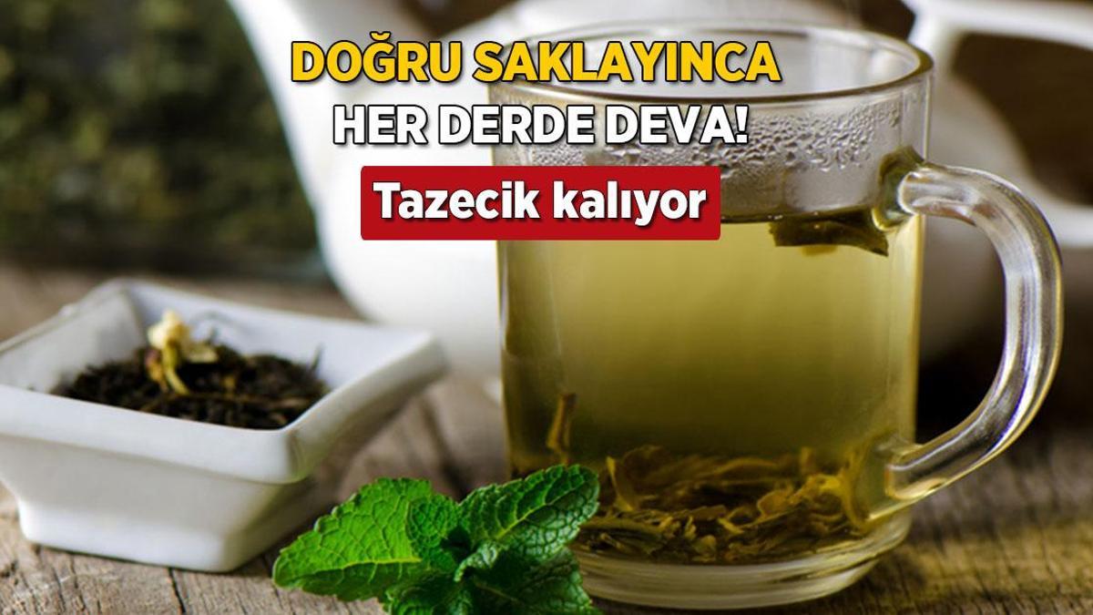 Bayat yeşil çay böyle anlaşılıyor! Rengi ele veriyormuş, sıcakta bırakmayın